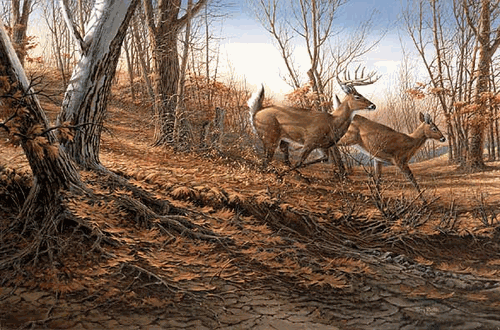 (image for) Autumn Run Encore II